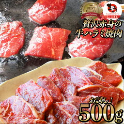 牛 ハラミ 焼肉 500g(250g×2P)牛肉 メガ盛り (＊当日発送対象) 赤身 はらみ 贅沢 おトク お徳用 送料無料 アメリカ産 あす楽 肉 通販 グルメ アウトドア お家焼肉 レジャー 送料無料 バーベキュー 肉 食材