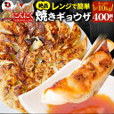 餃子 ギョウザ ギョーザ レンジ調理 中華 400個入り 1kg×10 点心 中華料理 惣菜 温めるだけ 冷凍 惣菜 お弁当 あす楽 業務用 温めるだけ レンチン 冷食 送料無料 その1