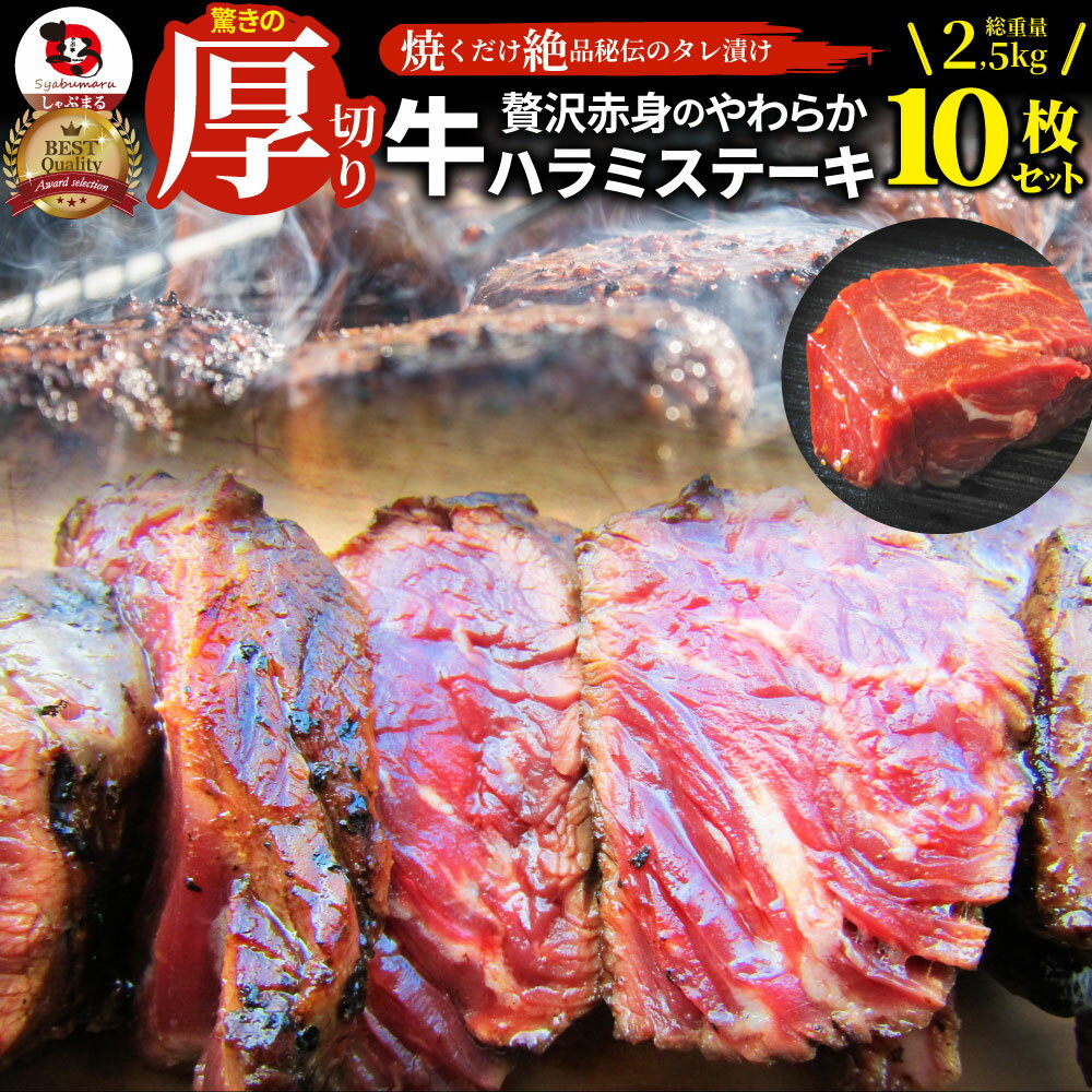 ステーキ ハラミ 牛ハラミ ブロック 焼肉 (タレ漬け)2.5kg(250g×10枚) タレ 秘伝 焼肉セット 焼肉 ラン..