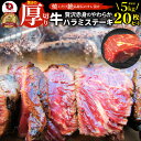 【クーポン使用で20%OFF】ステーキ ハラミ 牛ハラミ ブロック 焼肉 (タレ漬け)5kg(250g×20枚) タレ 秘伝 焼肉セット 焼肉 ランキング1位 ...