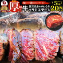 ステーキ ハラミ 牛ハラミ ブロック 焼肉 (タレ漬け)5kg(250g×20枚) タレ 秘伝 焼肉セット 焼肉 ランキング1位 やきにく ハラミ 赤身 はらみ 赤身肉 タンパク質 アウトドア お家焼肉 レジャー 送料無料