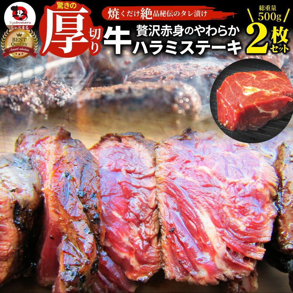 ステーキ ハラミ 牛ハラミ ブロック 焼肉 (タレ漬け)500g(250g×2) タレ 秘伝 焼肉セット 焼肉 ランキング1位 やきにく ハラミ 赤身 はらみ 赤身肉 タンパク質 アウトドア お家焼肉 レジャー 送料無料