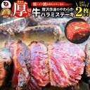 肉・セット ステーキ ハラミ 牛ハラミ ブロック 焼肉 (タレ漬け)500g(250g×2) タレ 秘伝 焼肉セット 焼肉 ランキング1位 やきにく ハラミ 赤身 はらみ 赤身肉 タンパク質 アウトドア お家焼肉 レジャー 送料無料