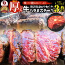 ステーキ ハラミ 牛ハラミ ブロック 焼肉 (タレ漬け)750g(250g×3枚) タレ 秘伝 焼肉セット 焼肉 ランキング1位 やきにく ハラミ 赤身 はらみ 赤身肉 タンパク質 アウトドア お家焼肉 レジャー 送料無料