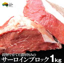 サーロイン ブロック 1kg 凍眠 テク