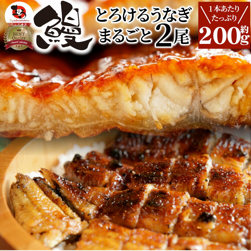 うなぎ蒲焼2本入り（200ｇ×2）たれ・山椒付き鰻かば焼き土用丑の日湯煎レンチンレンジOK簡単解凍するだけ惣菜冷凍食品お取り寄せグルメ