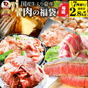 肉 福袋 年 国産牛入り 肉の福袋 「竹福袋」牛肉 食品 メガ盛り 総重量2.8kg超 焼くだけ＆レンジで簡単調理 ランキング1位＆人気のお肉豪華セット 国産牛ステーキ 焼肉 ハラミ ランキング1位 ハンバーグ プレゼント 送料無料