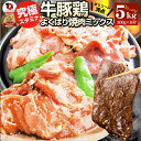 焼肉 ざんまい 牛豚鶏よくばり焼肉ミックス 5kg(500g×10) おトク お徳用 送料無料 肉 通販 グルメ アウトドア お家焼肉 レジャー 送料無料 バーベキュー 肉 食材 セット