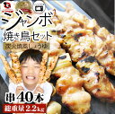 焼き鳥 レンジOK 3種 福袋 セット 55g×40本 (計2.2kg)ねぎま 皮 もも レバー 串焼き 盛り合わせ ジャンボ 焼鳥 やきとり 串焼き 冷凍食品 おかず 調理済み 手軽 酒の肴 おつまみ 惣菜 あす楽 業務用 温めるだけ 送料無料