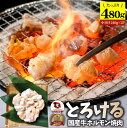 国産牛 ホルモン 480g (240g×2袋) ほるもん 小腸 焼肉用 お得 焼肉 やきにく アウトドア お家焼肉 レジャー 送料無料 冷凍 バーベキュー 肉 ...