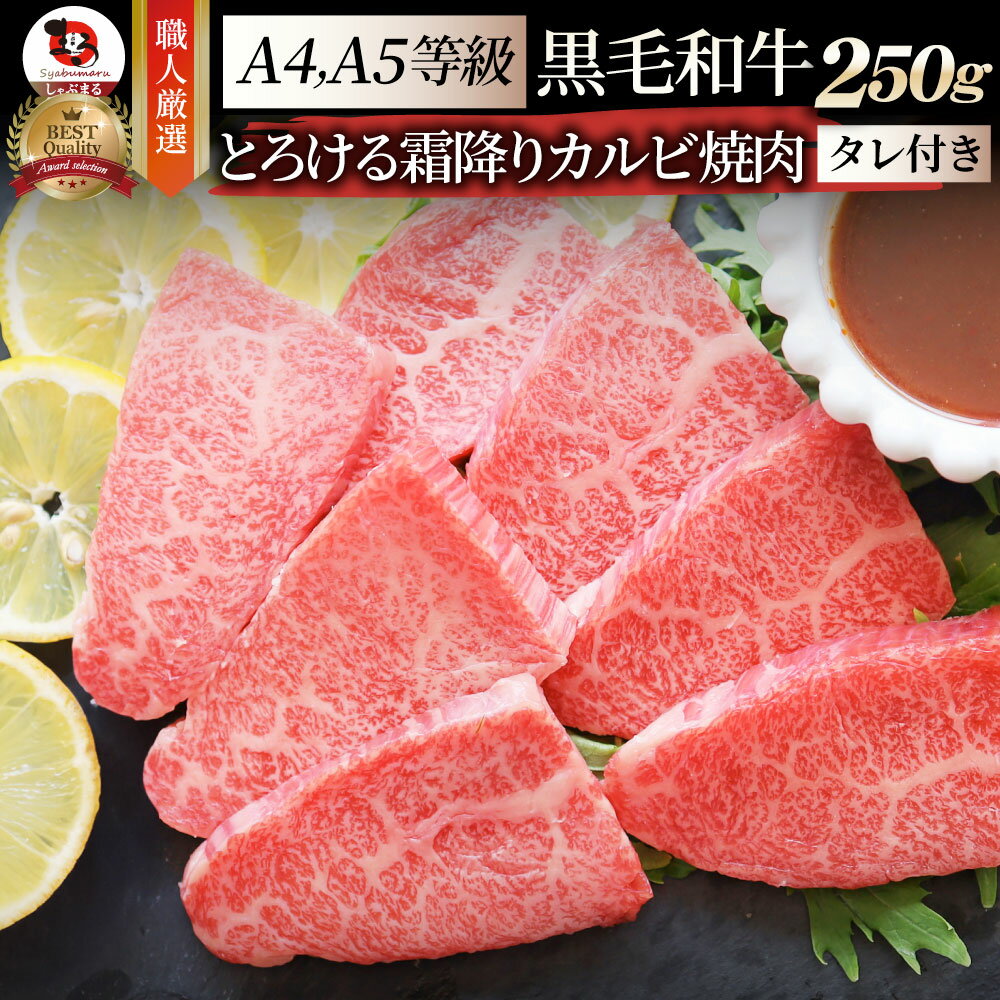 【6/1(土)24h限定★エントリーで最大P20倍】肉 新生活 ギフト 食品 お祝い A4,A5等級 特選 黒毛和牛 カルビ焼肉 250g 焼肉のタレ付 凍眠 テクニカン ( A4 ～ A5等級 )牛肉 送料無料 霜降り 贅沢 黒毛 和牛 国産 祝い 記念 通販 グルメ 誕生日 焼肉セット 焼肉 牛 内祝