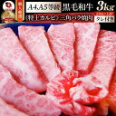 肉 バレンタイン 新生活 ギフト 食品 お祝い A4,A5等級 特選 黒毛和牛 三角バラ カルビ焼肉 3kg(250g×12) 焼肉のタレ付 凍眠 テクニカン ...