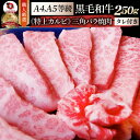 肉 バレンタイン 新生活 ギフト 食品 お祝い A4,A5等級 特選 黒毛和牛 三角バラ カルビ焼肉 250g 焼肉のタレ付 凍眠 テクニカン プレゼント 牛肉...