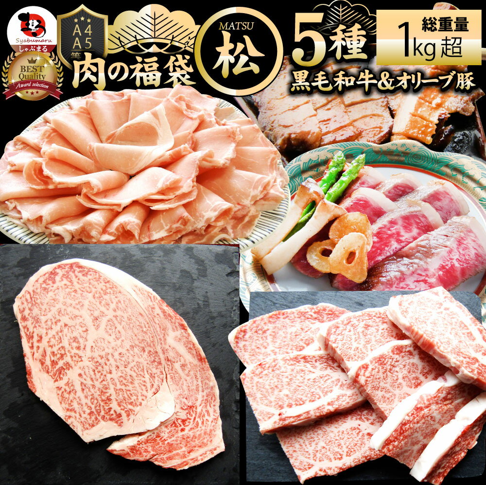 肉 福袋 黒毛和牛入り 肉の福袋 「松福袋」総重量1kg超 凍眠 テクニカン 5種食べ比べ 牛肉 食品 メガ盛..