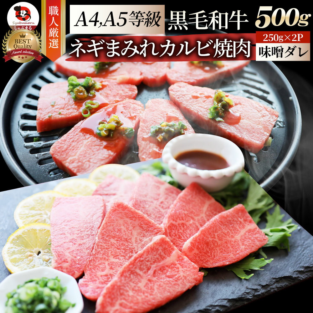 A4,A5等級 特選 黒毛和牛 カルビ焼肉 500g(250g×2) ねぎまみれ 旨辛味噌ダレ( A4 ～ A5等級 )牛肉 肉 父の日 御中元 ギフト 食品 お祝い 霜降り 贅沢 黒毛 和牛 国産 祝い 記念 通販 グルメ 誕生日 焼肉セット 焼肉 牛 内祝