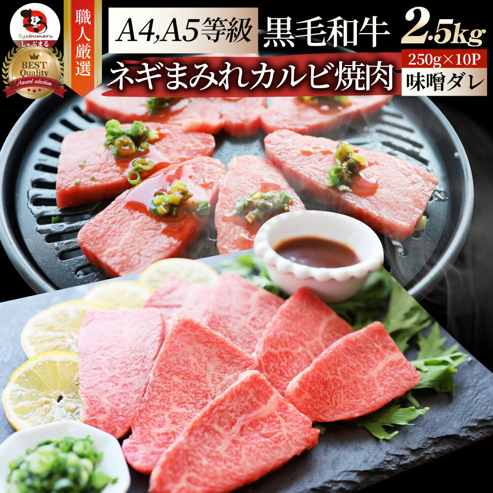 A4,A5等級 特選 黒毛和牛 カルビ焼肉 2.5kg(250g×10) ねぎまみれ 旨辛味噌ダレ( A4 〜 A5等級 )牛肉 肉 お歳暮 クリスマス ギフト 食品 お祝い 霜降り 贅沢 黒毛 和牛 国産 祝い 記念 通販 グルメ 誕生日 焼肉セット 焼肉 牛 内祝