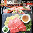 A4,A5等級 特選 黒毛和牛 カルビ焼肉 250g ねぎまみれ 旨塩ダレ( A4 ～ A5等級 )牛肉 肉 ホワイトデー ギフト 食品 お祝い 霜降り 贅沢 黒毛 和牛 国産 祝い 記念 通販 グルメ 誕生日 焼肉セット 焼肉 牛 内祝