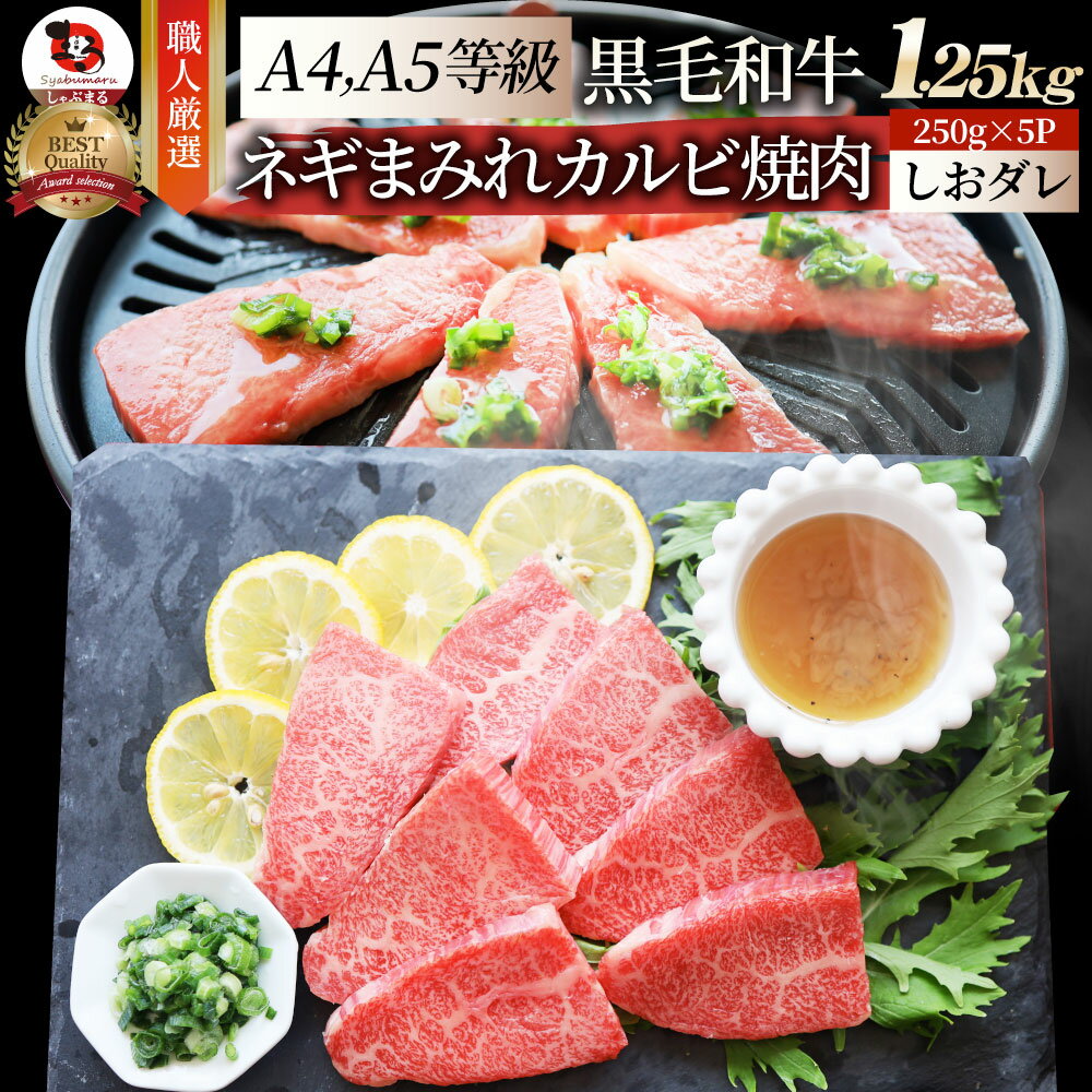 A4,A5等級 特選 黒毛和牛 カルビ焼肉 1.25kg ねぎまみれ 旨塩ダレ( A4 ～ A5等級 )牛肉 肉 母の日 父の日 ギフト 食品 お祝い 霜降り 贅沢 黒毛 和牛 国産 祝い 記念 通販 グルメ 誕生日 焼肉セット 焼肉 牛 内祝