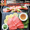 A4,A5等級 特選 黒毛和牛 カルビ焼肉 500g ねぎまみれ 旨塩ダレ( A4 ～ A5等級 )牛肉 肉 ホワイトデー ギフト 食品 お祝い 霜降り 贅沢 黒毛 和牛 国産 祝い 記念 通販 グルメ 誕生日 焼肉セット 焼肉 牛 内祝