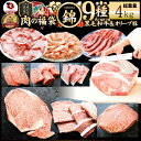 肉 福袋 黒毛和牛 オリーブ豚 食べ比べ 総重量4kg 凍眠 テクニカン 2023年 肉の福袋 「錦福袋—NISHIKI-」牛肉 食品 メガ盛り 焼...