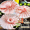 肉 オリーブ豚 ロース&バラ&肩ロース 3種食べ比べ スライス 6kg お歳暮 クリスマス ギフト 食品 お祝い プレゼント ブランド肉 豚肉 しゃぶしゃぶ 炒...