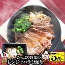 レンジで牛ハラミ焼肉 5食(250g×5) 低糖質 たっぷり野菜のハラミ焼肉 やきにく ハラミ タレ 赤身 はらみ 秘伝 焼肉 ランキング1位 惣菜 お家焼肉 ...