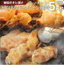 肉セット 送料無料 冷凍 牛テッチャン タレ漬け ホルモン ( シマチョウ ) 5kg (250g×20袋) 焼肉用 お得 タレ 秘伝 焼肉 やきにく アウトドア お家焼肉 肉 食材 セット