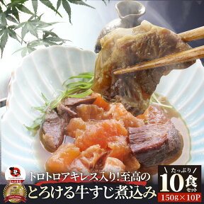 とろける 牛すじ煮込み 10人前 セット(約150g×10パック) ギフト 食品 お祝い 肉 景品 祝い 記念 通販 グルメ 食品 誕生日 牛 内祝 送料無料