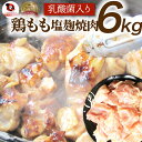 W[V[{̉Ђ ē 6kg (500g~12) BBQ ē o[xL[ { Hו { AEghA Əē W[ ēp Ɩp 