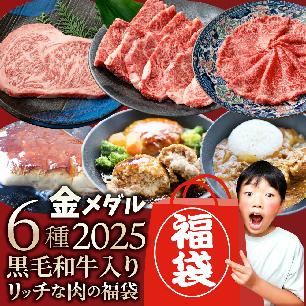 2025肉福袋食品ステーキ金メダル6種盛り黒毛和牛牛肉凍眠テクニカンお得お歳暮クリスマスギフトグルメロースカルビ赤身ハンバーグフォアグラ送料無料