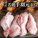 国産 手羽元 10本入り 手羽元 国産 鶏肉 鳥 冷凍 焼き鳥