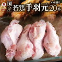 国産 手羽元 20本入り 手羽元 国産 鶏肉 鳥 冷凍 焼き鳥