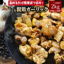 親鶏 ガーリック おつまみ 酒の肴 珍味 2kg (100g×20袋) 鶏 親鳥 オツマミ 送料無料 名物 国産 地鶏 おかず おやつ 惣菜 おすすめ 訳あり お試し