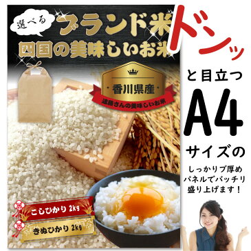 【送料無料・あす楽】【結婚式二次会】四国のおいしいお米 目録ギフト 3000円ポッキリ A4 パネル 目録付 遠藤さんの美味しいお米を直送でお届け！ 2次会 景品 目録 お肉 ゴルフコンペ 賞品 歓迎会 送別会イベント用品 忘年会 新年会 誕生会