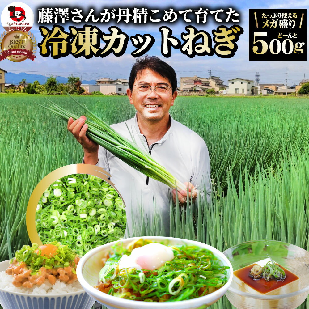 カットねぎ 500g ねぎ ネギ 藤澤さん家のカットねぎ 葱 冷凍 とれたてネギ 香川県産 冷凍野菜 時短 料理 簡単調理 包…