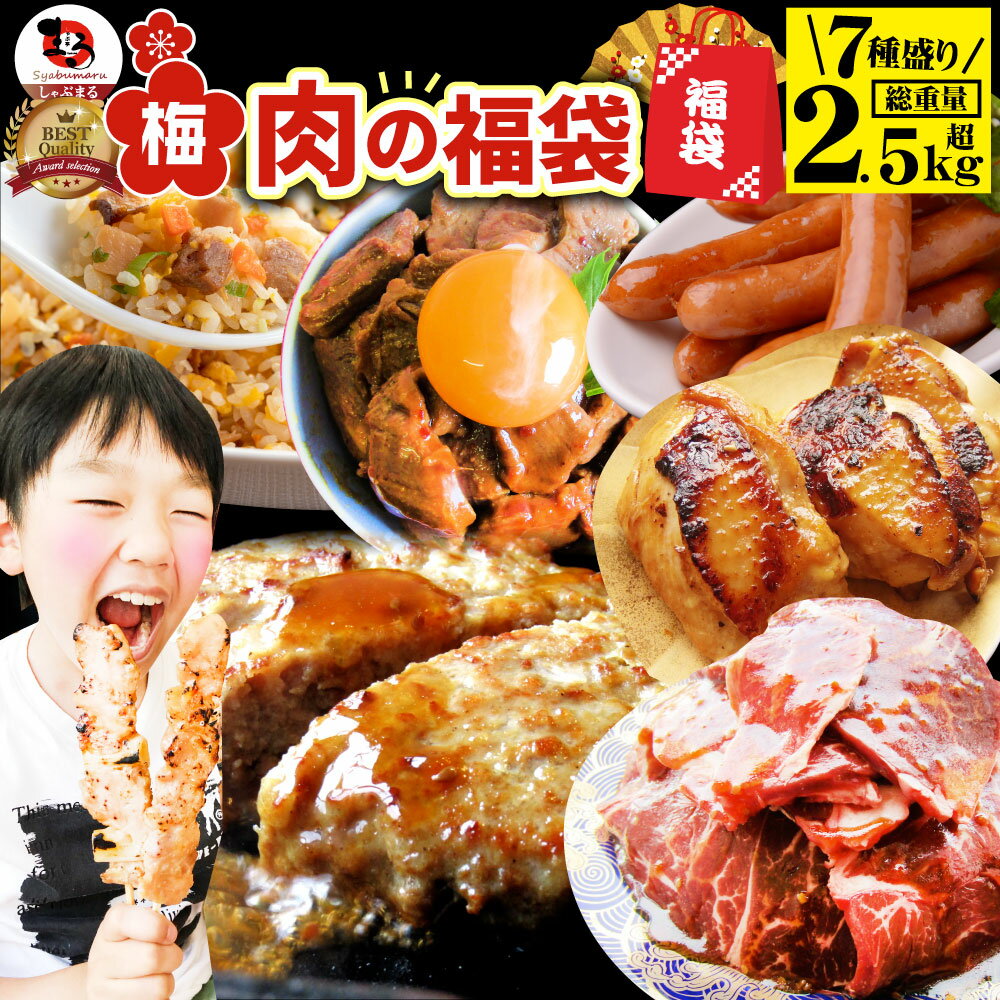 肉福袋2023年肉の福袋「梅福袋」牛肉食品メガ盛り総重量2.5kg超焼くだけ＆レンジで簡単調理！ランキング1位＆人気のお肉豪華セット焼肉ハラミランキング1位ハンバーグ時短プレゼント送料無料＊当日発送対象