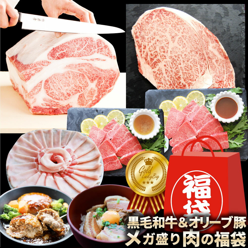 肉の福袋ゴールドメガ盛りA4,A5等級黒毛和牛入り総重量945g（4種食べ比べ）完全赤字の肉袋！人気のお肉ばかりの豪華セット福袋牛肉焼肉セット焼肉ランキング1位ステーキフォアグラ時短プレゼント送料無料