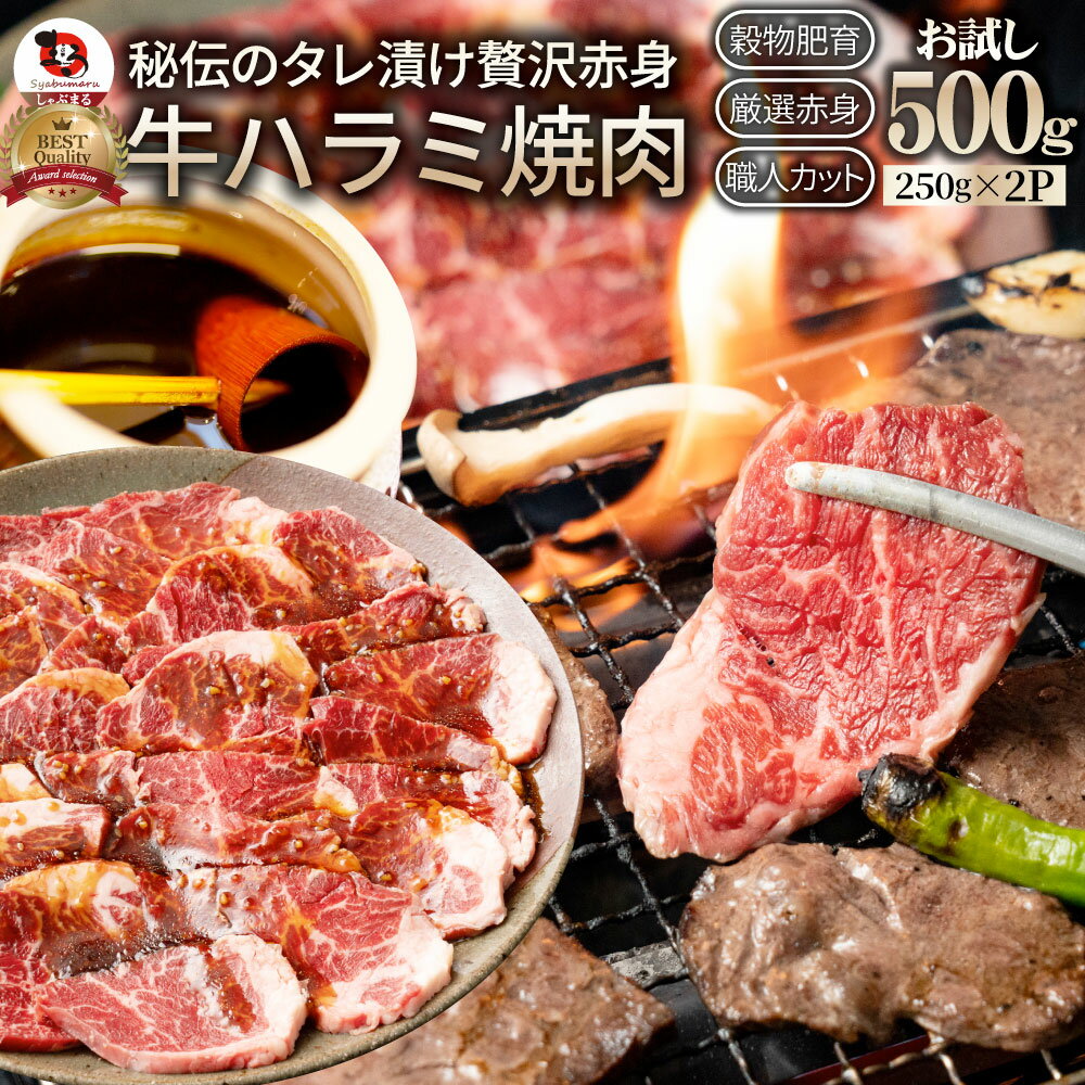 牛ハラミ焼肉(タレ漬け)500g(250g×2) タレ 赤身 はらみ 秘伝 焼肉セット 焼肉 ランキング1位 やきにく ハラミ アウトドア お家焼肉 レジャー 送料無料 バーベキュー 肉 食材 セット キャンプ キャンプ飯