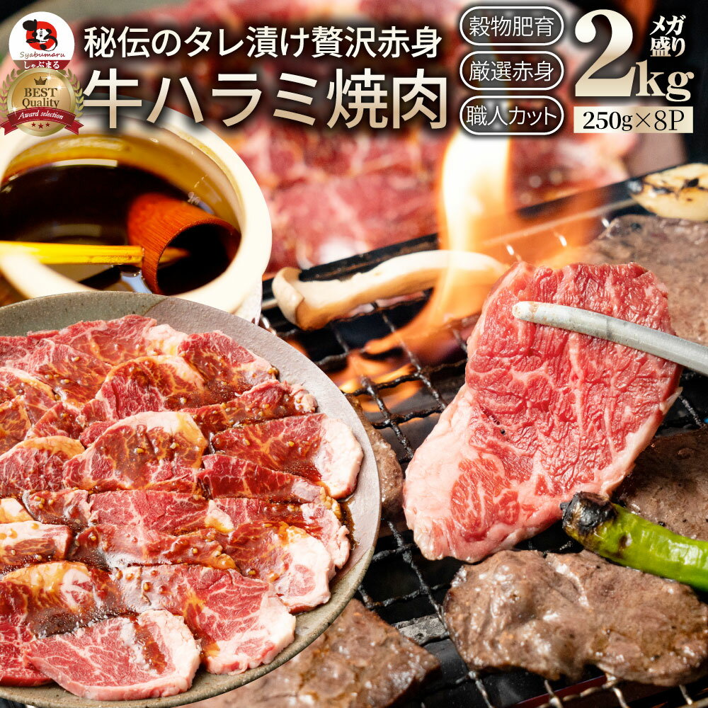 牛ハラミ焼肉(タレ漬け)2kg(250g×8) タレ 赤身 はらみ 秘伝 焼肉セット 焼肉 ランキン ...