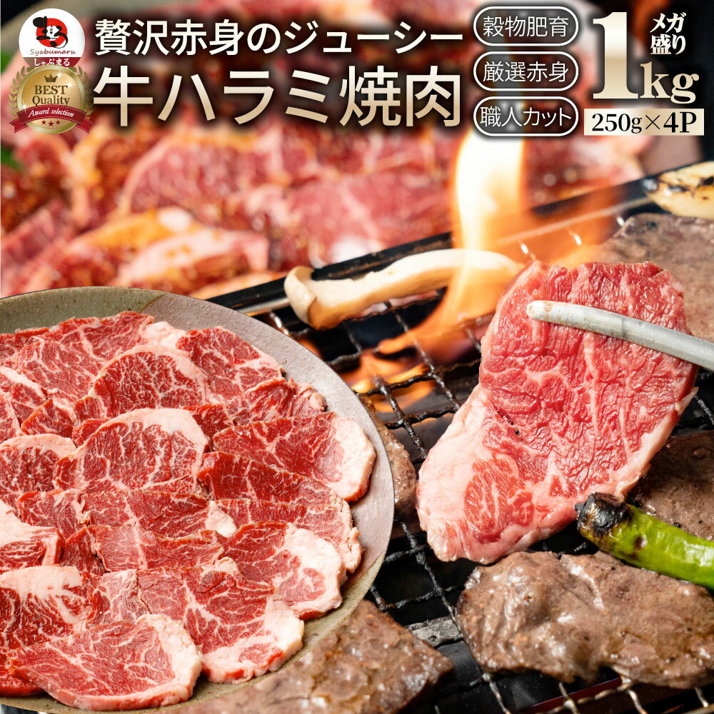 【ふるさと納税】＼最短5営業日以内発送／ ＼発送時期が選べる／ 訳あり 牛肉 牛 ハラミ タレ漬け 焼肉 BBQ 手切り加工 焼肉用 焼くだけ 簡単 肉厚 肉 牛ハラミ ジューシー 食品 肉の泉佐野 送料無料 泉佐野市 大阪府