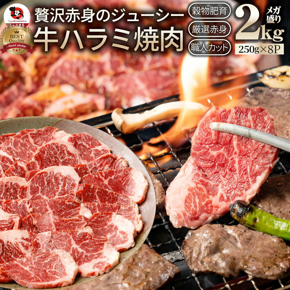 牛 ハラミ 焼肉 2kg(250g×8P) 牛肉 メガ盛り (＊当日発送対象) 赤身 はらみ 贅沢 おトク お徳用 送料無料 肉 通販 グ…