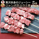 牛ハラミ串 5本セット (合計400g) 牛串 肉 牛 ハラミ 学園祭 屋台 業務用 串焼き 食べ物 食材 食品 パーティー BBQ バーベキュー キャンプ キ...