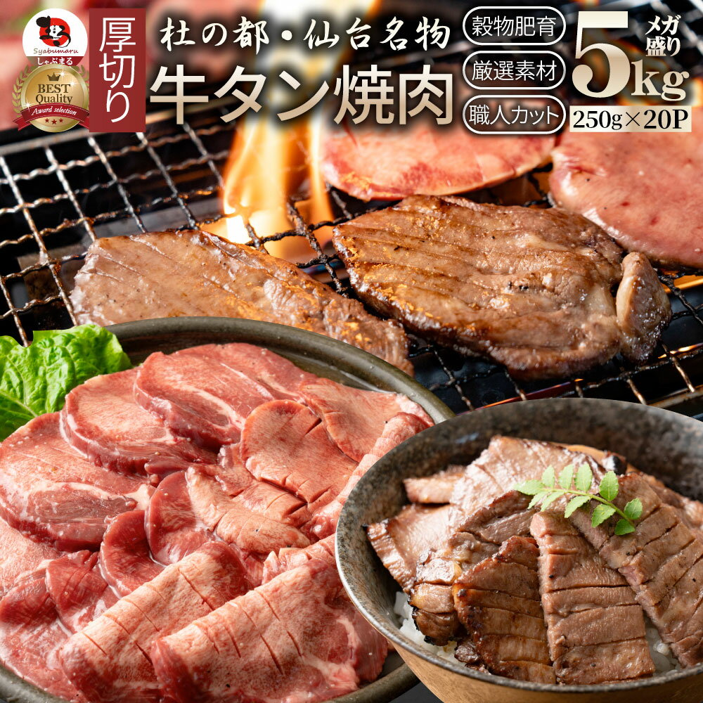 肉 母の日 父の日 新生活 ギフト 食品 お祝い 牛肉 牛タン 焼肉 5kg (250g×20P)厚切り 約40人前 食品 贈答 お祝い 御祝 内祝い ランキ..