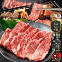 ギフト 食品 お祝い A4,A5等級 特選 黒毛和牛 カルビ焼肉 3kg (250g×12) プレゼント 牛肉 牛 焼肉 カルビ BBQ 焼き肉 国産 A5等級...