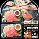 A4,A5等級 特選 黒毛和牛 カルビ焼肉 ねぎまみれ 味噌ダレ&塩ダレ 食べ比べ 5kg(250g×各10) 牛肉 肉 お歳暮 クリスマス ギフト 食品 お祝...