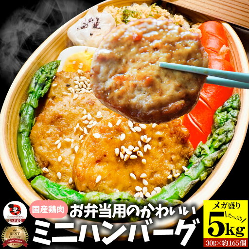お弁当 ミニハンバーグ 5kg (1kg×5) 冷凍 肉 鶏 鳥 ハンバーグ 惣菜 弁当 あす楽 業務用 温めるだけ レンチン 冷食 送料無料 お弁当 ミニハンバーグ 5kg (1kg×5) 冷凍 肉 鶏 鳥 ハンバーグ 惣菜 弁当 あす楽 業務用 温めるだけ レンチン 冷食 送料無料