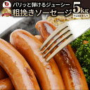 ジューシー!粗挽きソーセージたっぷり5kg ソーセージ ウインナー 粗挽き 粗びき あらびき ポーク 豚 焼肉セット 焼肉 ランキング1位 焼くだけ お弁当 弁当 アウトドア お家焼肉 レジャー 送料無料 バーベキュー 肉 食材 セット(4)