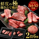 バレンタイン 新生活 6種2段 豪華絢爛(けんらん) 焼肉ギフト 霜降り 牛肉 黒毛和牛 ギフト 贅沢 国産 黒毛 和牛 祝い グルメ 誕生日 焼肉 セット 牛...