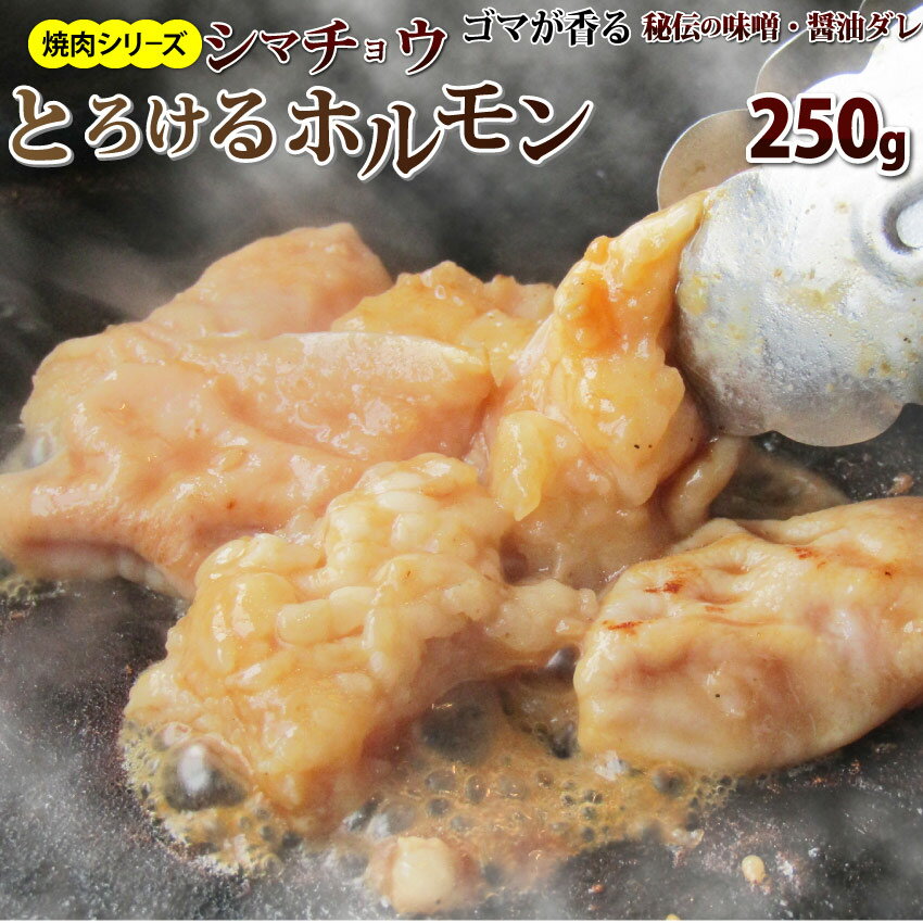 牛テッチャン タレ漬けホルモン(シマチョウ) 250g 焼肉用 牛肉 ほるもん モツ 腸 タレ 秘伝 焼肉 やきにく ホルモン 小腸 行楽 お試し おためし シマチョウ バーベキュー 肉 食材 セット