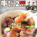 牛スジ煮込み 醤油味 2個セット レトルト おつまみ 常温保存 仕送り 牛肉 送料無料 居酒屋の味 すじ お試し 1000円 ポッキリ【メール便発送】【同梱不可】【代金引換利用不可】【対応不可】